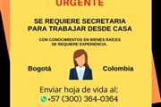 Se Necesita Secretaria Virtual en Bogota