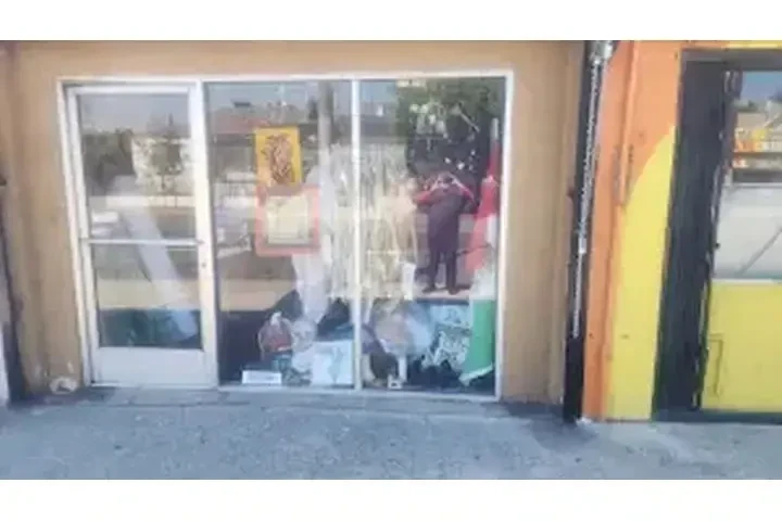 OPORTUNIDAD DE NEGOCIO image 6