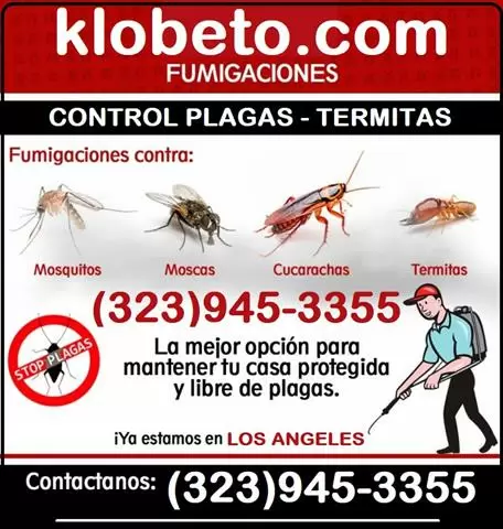 *TERMITE-PEST CONTROL SERVICE* image 3