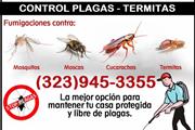 *TERMITE-PEST CONTROL SERVICE* thumbnail