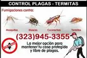 *TERMITE-PEST CONTROL SERVICE* thumbnail