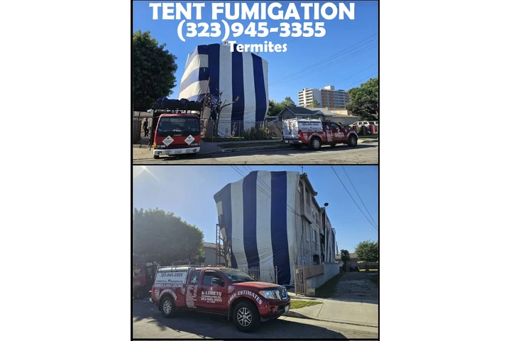 FUMIGATIONS ALL DAY CALL NOW.- image 6