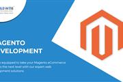 Magento Website Development en Wilmington
