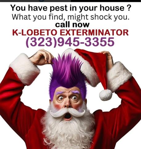 PEST CONTROL SERVICES-RODENTS. image 1