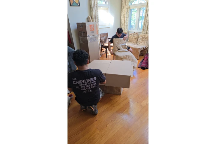 Loschipilines moving corp image 3