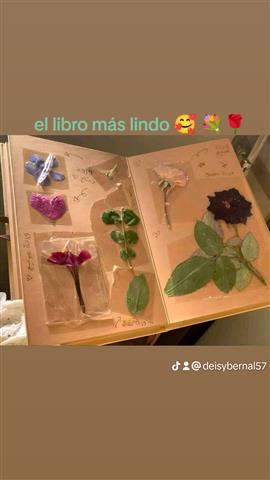 ❤️😌 CUIDADO DE NIÑOS CON AMOR image 5