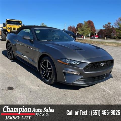 Used 2022 Mustang EcoBoost Pr image 4