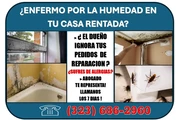 🔥SUFRES HUMEDAD EN TU CASA 📞 thumbnail