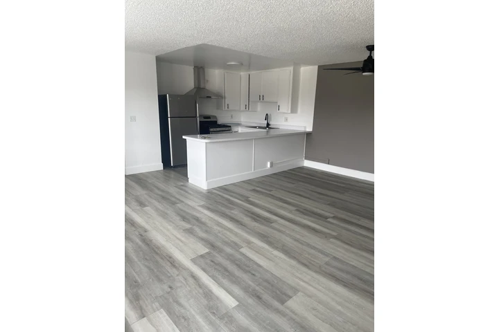 $2350 : 130 E Adams Blvd image 4