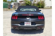 $33045 : Ford Mustang 2024 EcoBoost P thumbnail