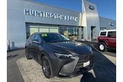 Lexus NX 350 2023 AWD Premiu