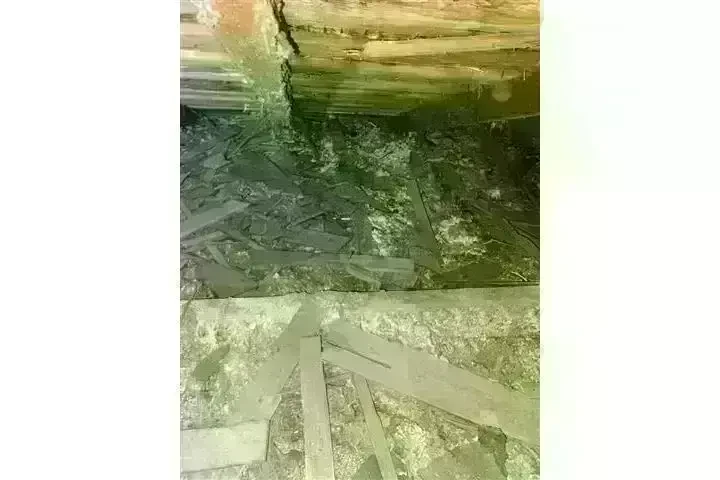 PEST CONTROL image 2