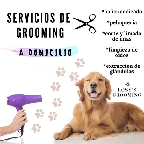 Dog Grooming a domicilio image 1