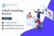 Consulting Services for Tribal