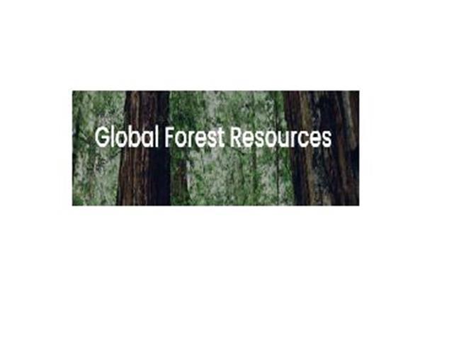 Forest management image 1