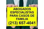 MODIFICAR MANUTENCIÓN DE HIJOS en Los Angeles