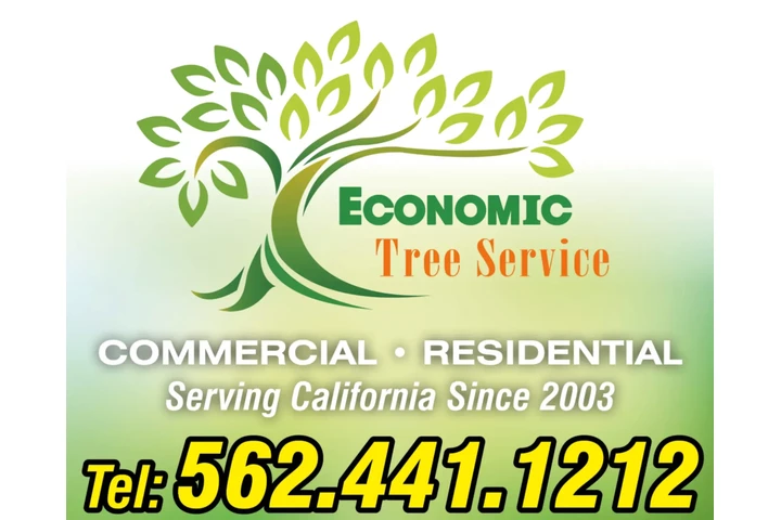 Economic Tree Service image 1