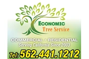 Economic Tree Service en San Bernardino