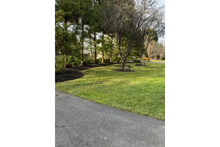 🌳HIDALGO LANDSCAPING SERVICES image 4