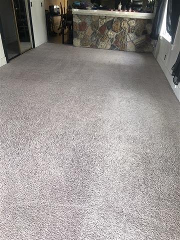 Carpet Cleaning and Floor Wax image 6