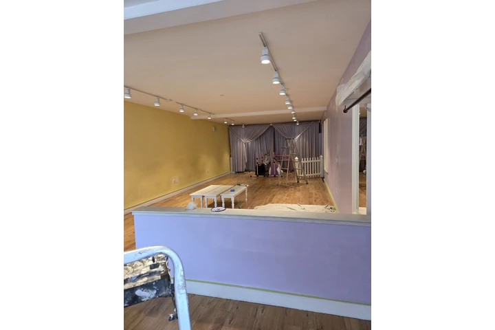 Painting & handyman image 4