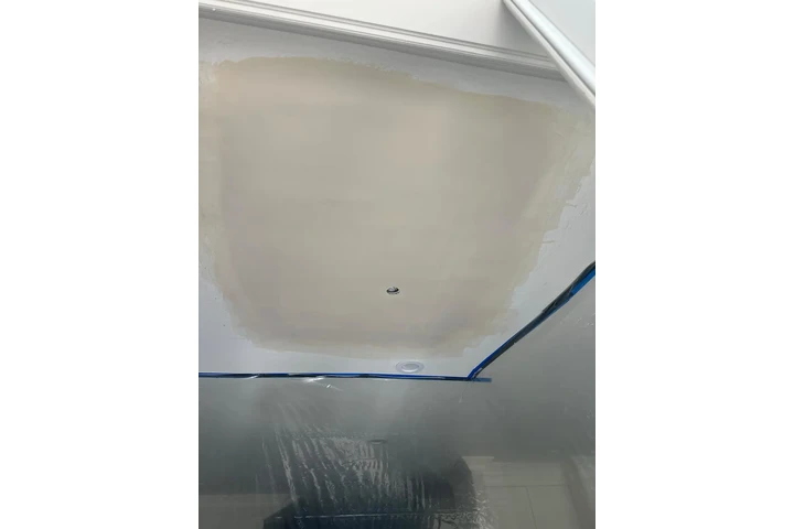 Pintura image 4