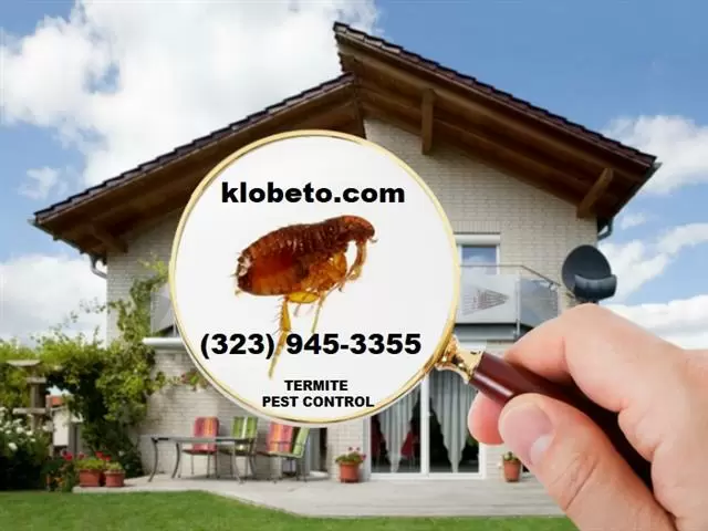 PEST CONTROL SERVICES NEAR ME. image 2