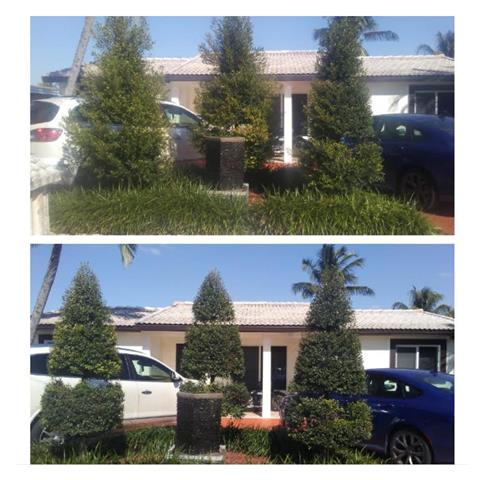 Ww Pacheco Landscaping.corp image 3
