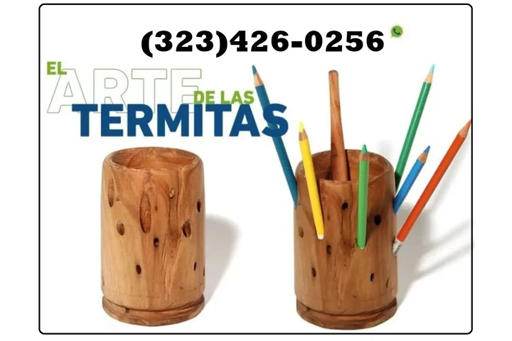 TERMITE CONTROL NEAR ME 24/7.- image 2