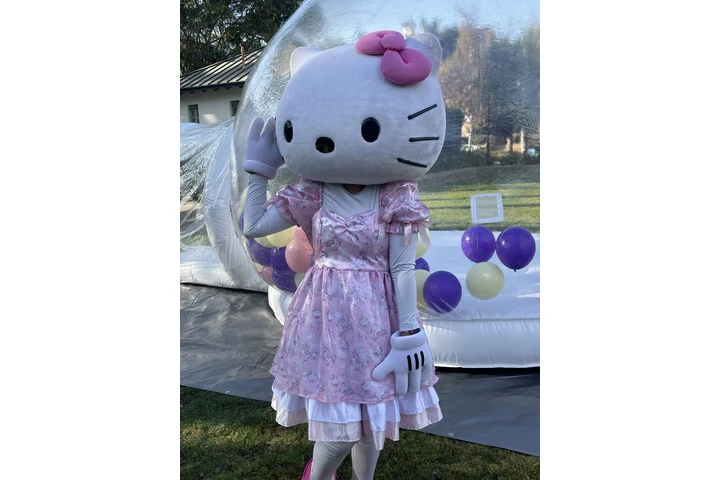 Personajes para fiestas image 10