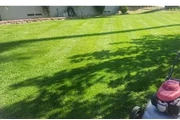 Mantenimiento de jardinería en San Bernardino