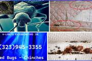 PEST CONTROL SERVICES 24/7.- thumbnail