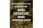 PEST CONTROL MAYWOOD ALL AREAS thumbnail
