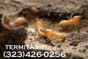 CONTROL TERMITAS (323)426-0256 thumbnail