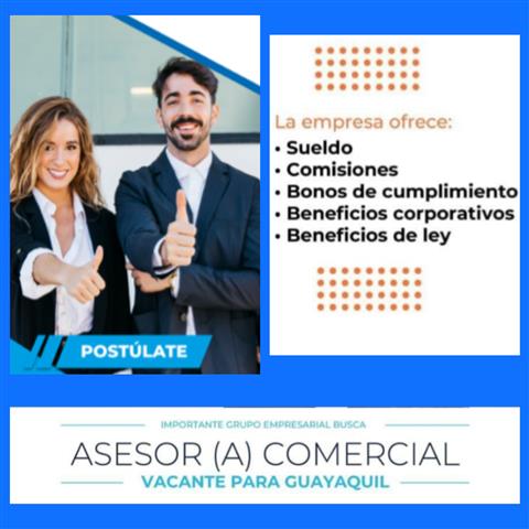 Asesor comercial y marketing image 1