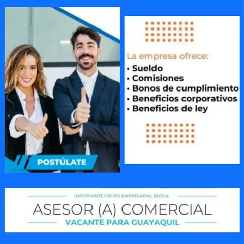 Asesor comercial y marketing image 1