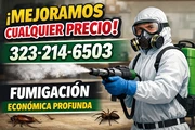 Fumigacion Organica Economica en Los Angeles