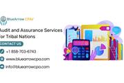 Audit and Assurance Services en San Diego