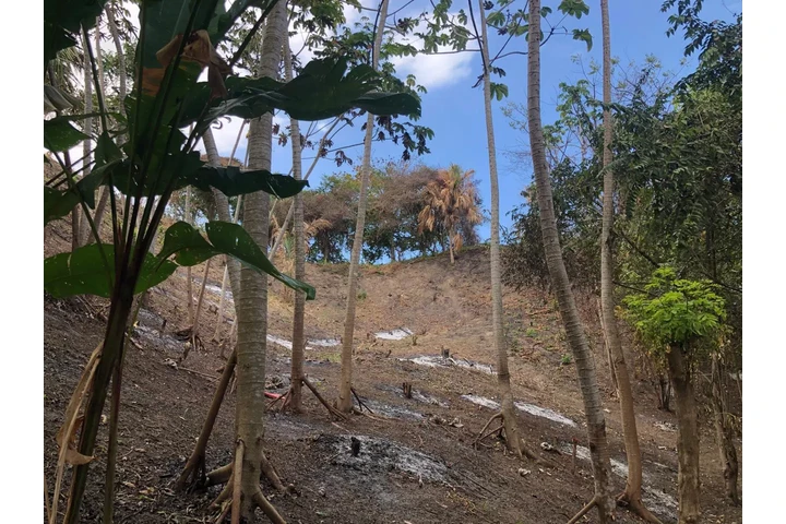 $550000000 : Terreno en venta Santa Marta image 5