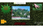 Artificial Turf en Orange County