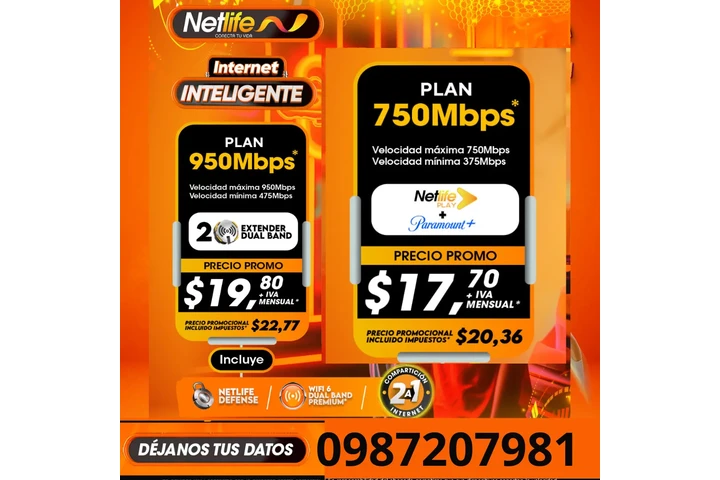 NETLIFE 0987207981 image 6
