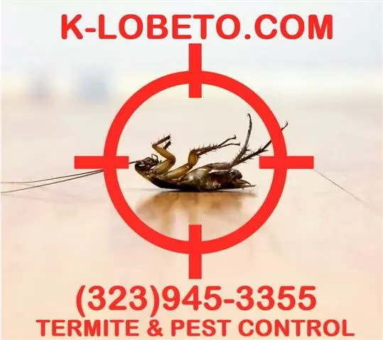 PEST CONTROL SERVICES NEAR ME. image 9