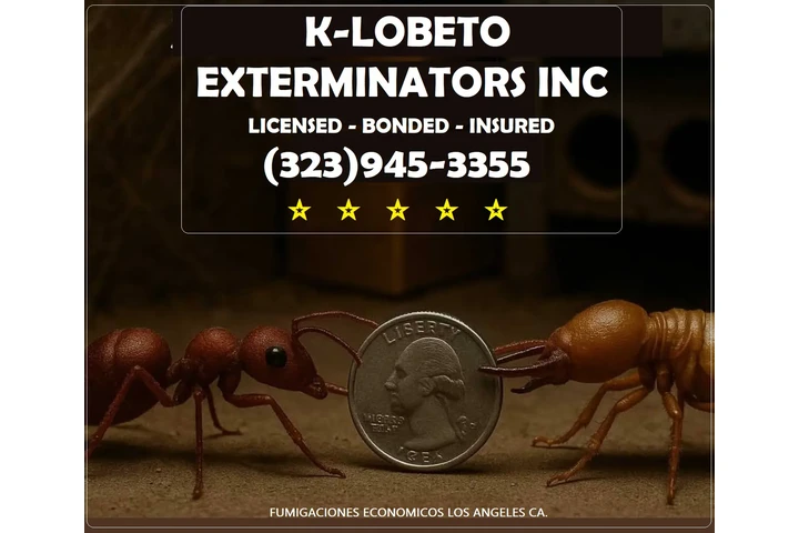 PEST CONTROL SERVICES 24/7.- image 8