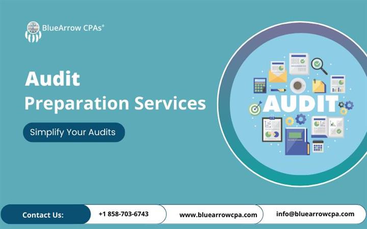 Audit Preparation Services image 1