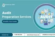 Audit Preparation Services en San Diego