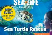 Sea Turtle Rescue en Kansas City MO