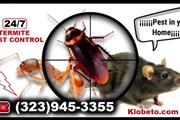 PEST CONTROL SERVICES NEAR ME. thumbnail