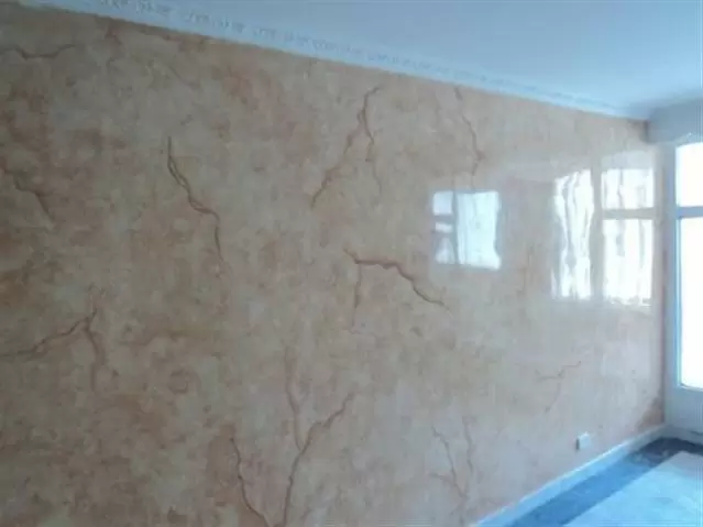 *TRABAJOS DE PINTURA- TECHOS* image 3