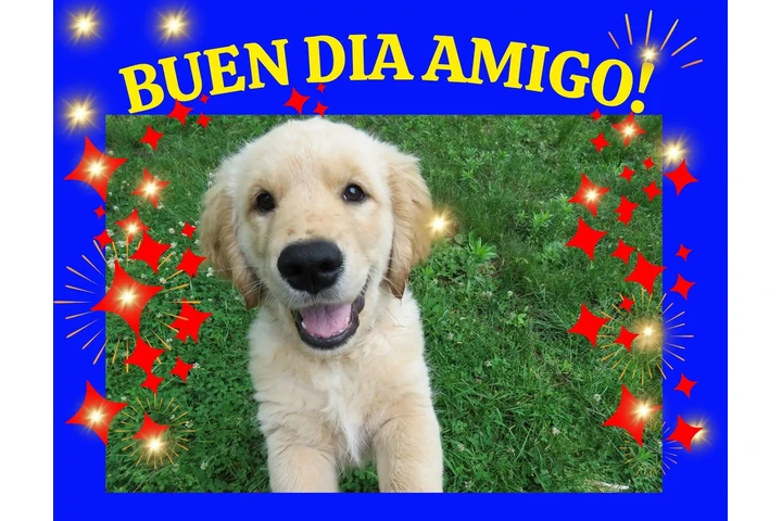 PLANOS BARATOS Y RAPIDO image 10