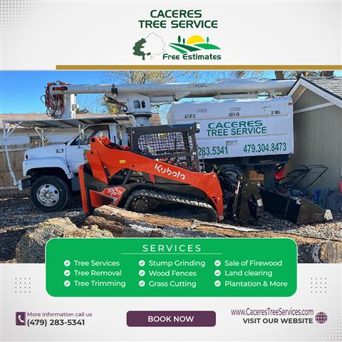 Caceres Tree Service image 3